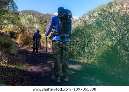 A shallow focus of male hikers with backpacks hiking through the forests of Iztaccihuatl, Mexico
