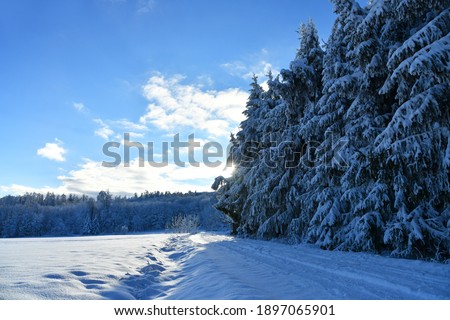 snow-covered winter landscape in the Rhön