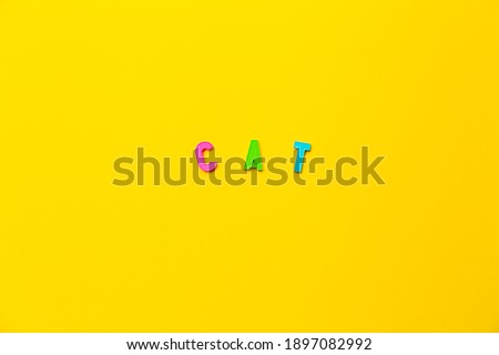 The word cat made of colored plastic letters with magnets on a yellow background with copy space, text place. Preschool education in a fun color form as a game. A simple word for an animal. Banner.