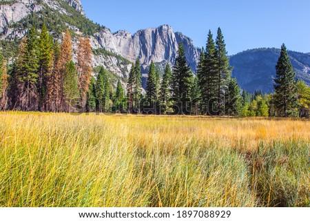 The picturesque park in California, USA. Western Cordillera. The rock El Capitan and majestic mountains surround the Yosemite Valley. The park is located on the slopes of the Sierra Nevada. 