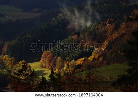colorful autumn landscape with fog 