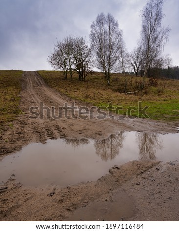 A muddy puddle and a dirt road at a moor. Picture from Revingehed, Scania county, Sweden
