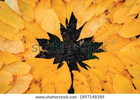 Leaves forming together to make bigger picture 
