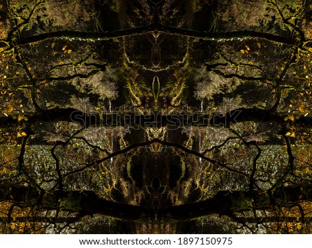 Psychedelic Rain Forest Faces, Symmetrical Kaleidoscope Mirror, Abstract Background.