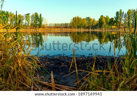 Photo Colorful autumn trees near the river. Blue sky reflected in calm water. Landscape in sunny day.