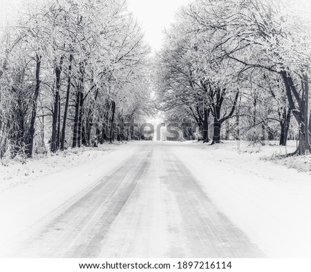 snow covered road with frost covered trees Royalty-Free Stock Photo #1897216114