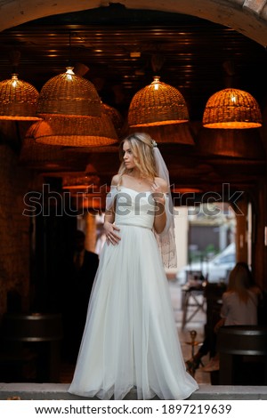 
Portrait of a beautiful bride. Lights in the background.