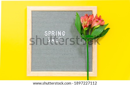 Spring sale banner template with text Spring Sale on gray letter board and beautiful fresh flower on trendy  yellow background. Minimalism style composition.