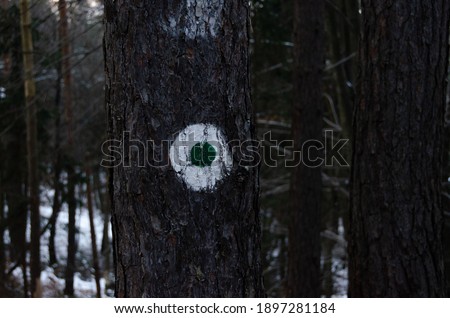 A hiking sign in the dark forest, white and green dots