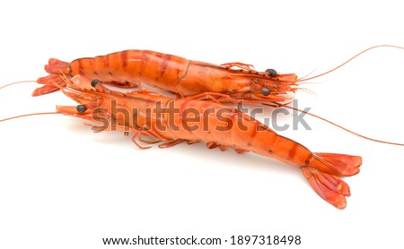 Steamed black tiger shrimp isolated on white background