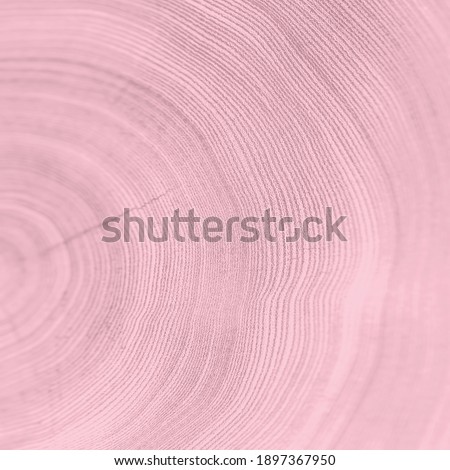 Pink tree rings background pattern with thin lines