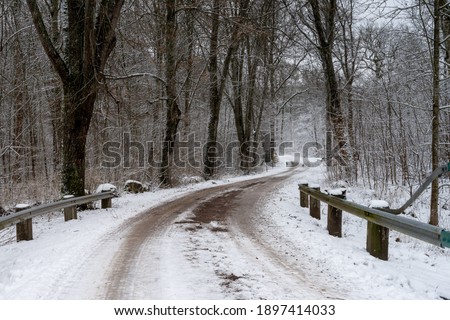 An icy and snowy winter road going through a forest. Picture from Eslov, southern Sweden