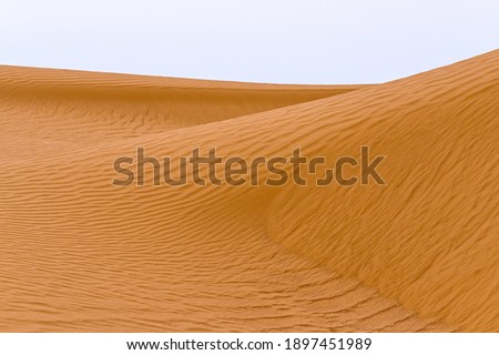 Bend of the ridge of a sand dune in the desert.