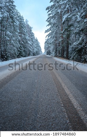 Beautiful winter scenery with on the road through  forest full of trees covered snow.