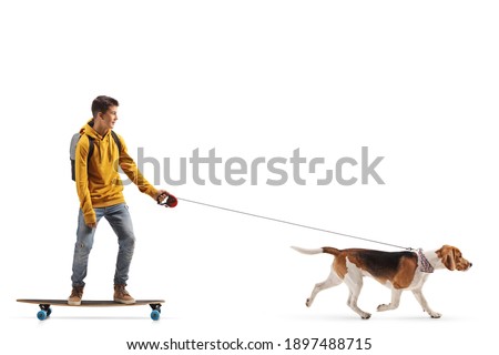 Male teenager riding a skateboard with a beagle dog on a lead isolated on white background
