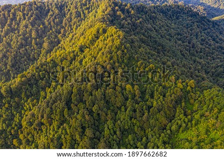
Mountains covered with forest from drone