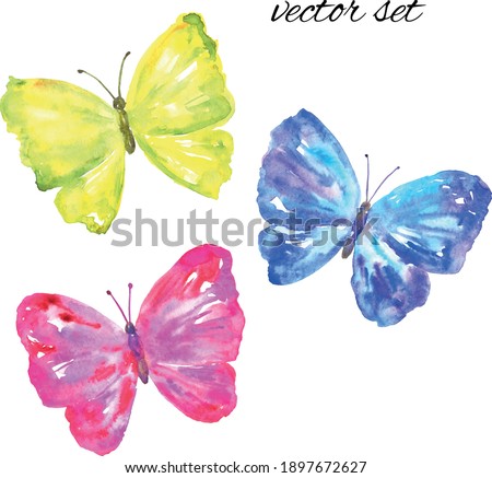 Colorful vector butterflies: yellow, pink, blue. Hand drawn watercolor illustration. Isolated on white background.