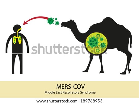 Mers Corona Virus transfer from camel to human. MERS-COV originated from Middle East and has no medicinal cure or no known vaccine. Editable Vector Illustration.  Royalty-Free Stock Photo #189768953