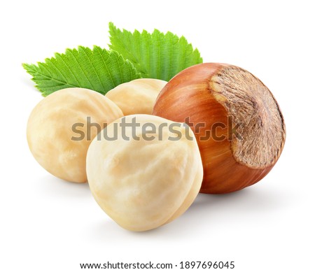Hazelnut with leaf isolate. Hazelnut peeled and unpeeled with leaves on white. Forest nut. Filbert side view. Full depth of field. Royalty-Free Stock Photo #1897696045
