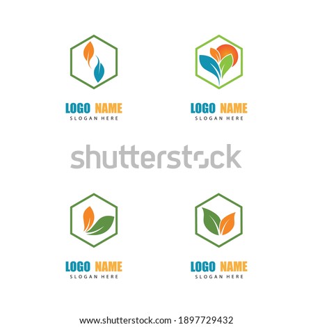 Set Logos of green Tree leaf ecology nature element vector