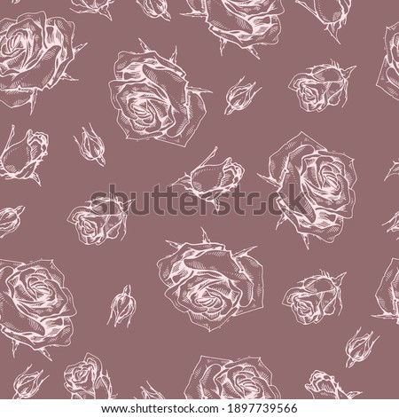 Seamless Pattern with Roses . Detailed hand-drawn sketches, vector botanical illustration.
