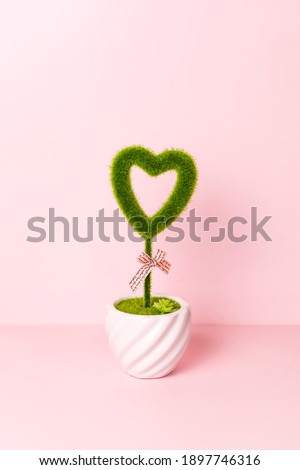 Heart shaped plant in a pot on pink background