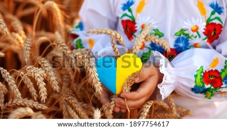 A yellow and blue heart and spikelets of wheat in the hands of a child in an embroidered shirt ( vyshyvanka). Wheat field at sunset.Unity Day, Independence Day of Ukraine, Embroidery Day Royalty-Free Stock Photo #1897754617