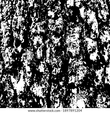 Moss on a tree trunk. Aged tree bark, close up. White design elements on black colour background, vector illustration.