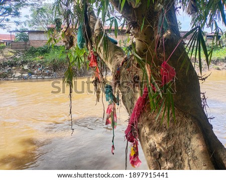 photo of plastic waste stuck in trees by the river
