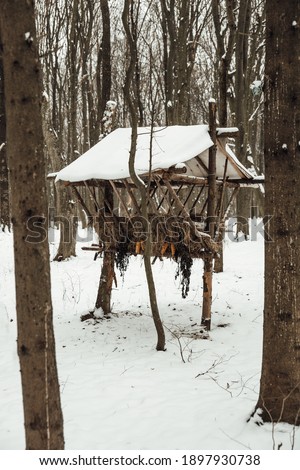 Wooden feeder for deer, animals in the winter forest. Food in the park, cold, snow.