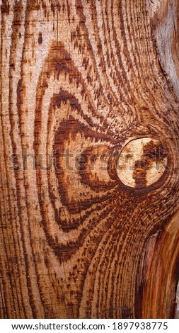 Excellent abstract background with wood structure
