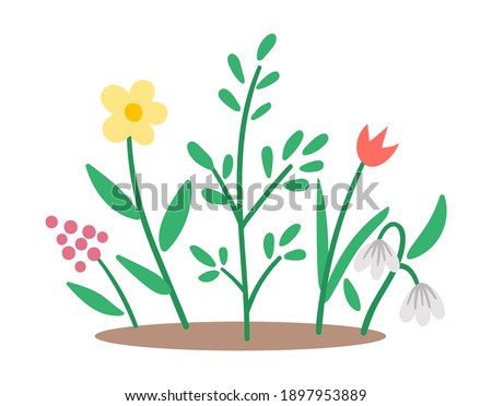 Vector spring flower bed icon. First blooming plants illustration. Floral clip art. Cute flat nursery bed with snowdrop and tulip isolated on white background.
