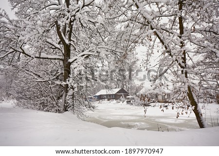 Winter rural scene. House near frozen lake. Hut on January lakeside. Trees on riverbank covered with snow. Village wonderland after blizzard in Belarus