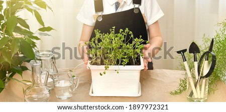 The child hands show off a pot of pot with sprouted green seed sprouts. Gardening, caring and growing plants. Nearby are shovels, rakes and water in the watering carafe.