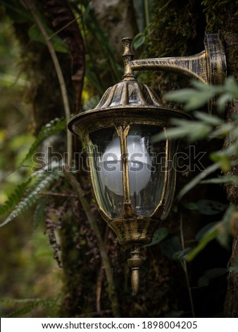 Vintage antique retro classic streetlamp light bulb lantern on green tree plant outdoor nature Chorro de Giron Ecuador