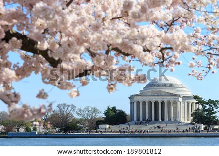 Washington DC, Thomas Jefferson Memorial during Cherry Blossom Festival in spring - United States