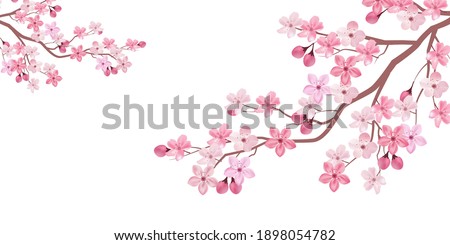 Cherry tree spring flower background Royalty-Free Stock Photo #1898054782
