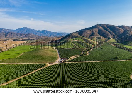 Aerial view of vineyard at Casablanca, Chile Royalty-Free Stock Photo #1898085847