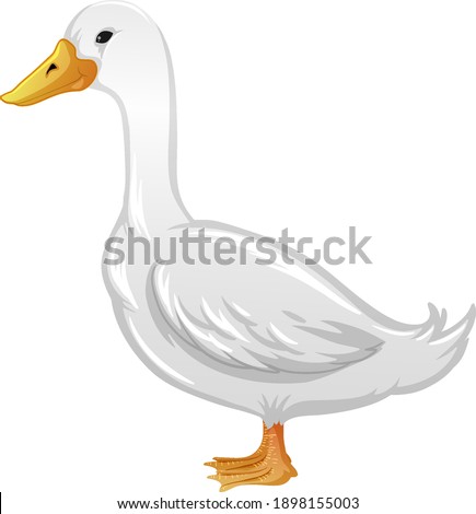 A duck in cartoon style isolated on white background illustration
