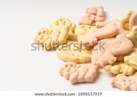 Cartoon pet cookies on a pure white background