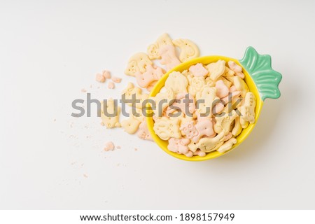 Cartoon pet cookies on a pure white background