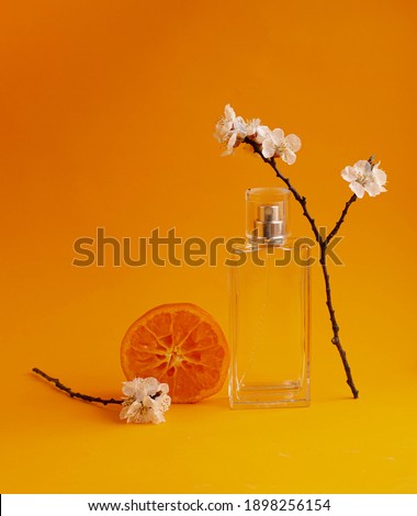 women's perfume, tangerines and sakura flowers. apricot blossom and apricots. concept. modern perfume photography