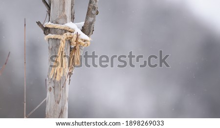 Yamagata Prefecture, Japan Winter
Tying a rope to a tree