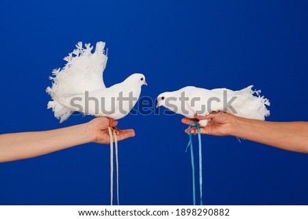 Two white doves in hand on a blue background on valentine's day. High quality photo