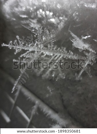 Blurred background of snowflakes image