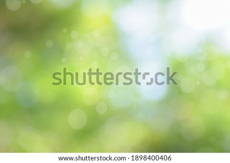 Abstract green bokeh nature background. circle bokeh with light  blur background
