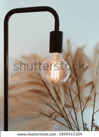 A vertical shot of a bulb near some dry flowers