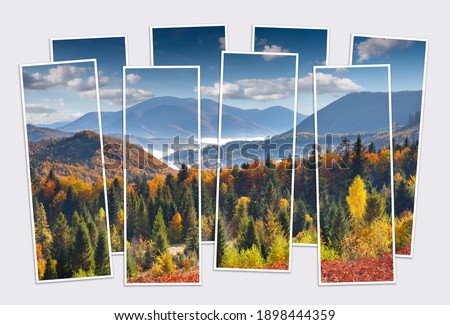 Isolated eight frames collage of picture of colorful autumn scene of Carpathian mountains. Foggy morninf view of mountain valley. Mock-up of modular photo.
