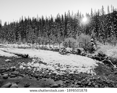 Black and white landscape photography of Maligne River within Jasper National Park, Canada
