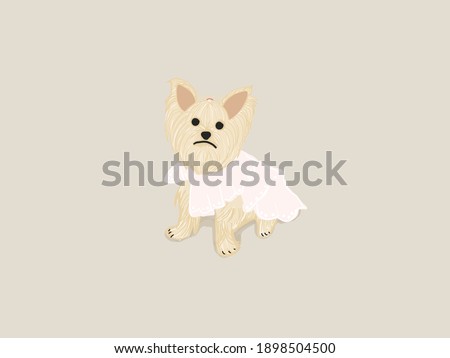 Chihuahua Dog wear beautiful pink dress. Hand Drawing illustration.